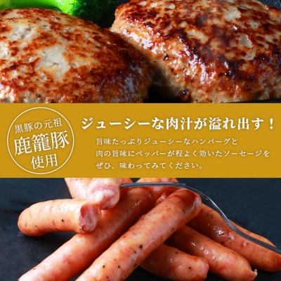 鹿籠豚ハンバーグ&ソーセージセット 枕崎産黒豚使用 A6-5