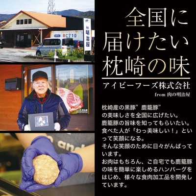 ハンバーグ・ソーセージ・ハム・焼豚【合計1.3kg】枕崎産黒豚 B3-4
