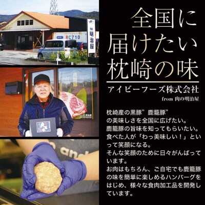 黒豚ロース西京味噌漬け&西京味噌南国風味セット【合計500g】 B3-6
