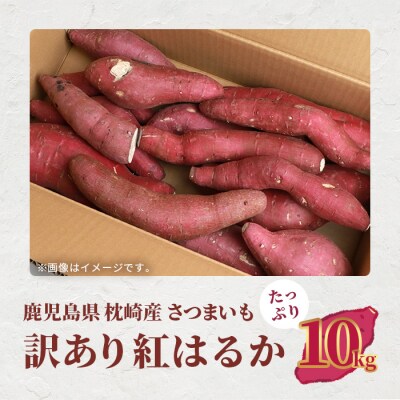 【訳あり】 紅はるか ＜10キロ＞ サツマイモ さつまいも 鹿児島県 A3-21