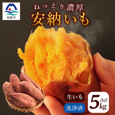 安納芋 5kg ＜生芋＞ 野菜 サツマイモ さつまいも 鹿児島県 A6-15