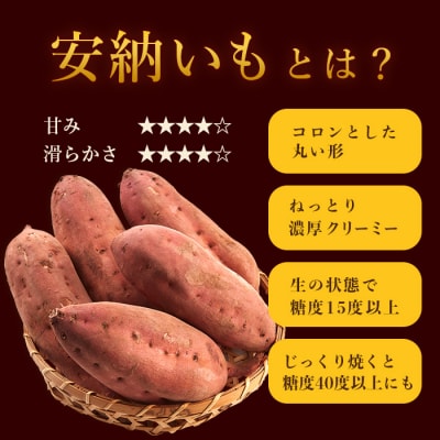 安納芋 5kg ＜生芋＞ 野菜 サツマイモ さつまいも 鹿児島県 A6-15