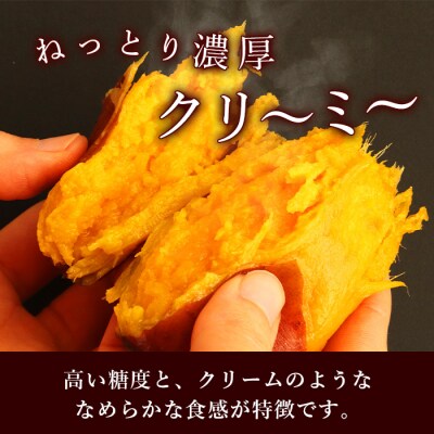 安納芋 5kg ＜生芋＞ 野菜 サツマイモ さつまいも 鹿児島県 A6-15