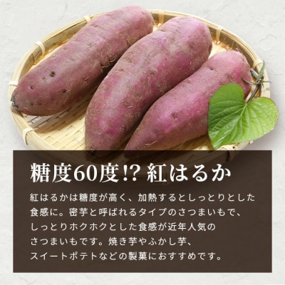紅はるか ＜5kg＞ 野菜 サツマイモ さつまいも 鹿児島県 A6-16