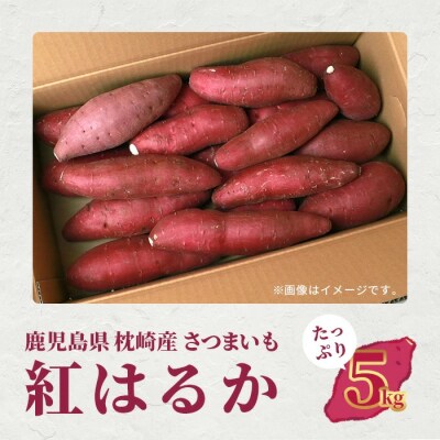 紅はるか ＜5kg＞ 野菜 サツマイモ さつまいも 鹿児島県 A6-16