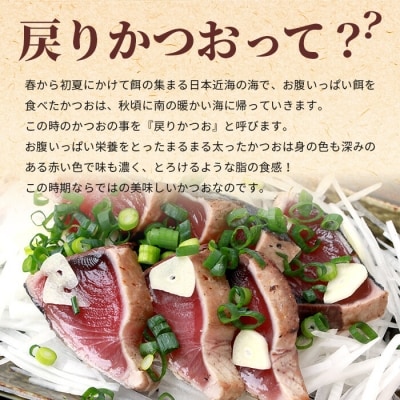 鹿児島産炭火焼き 戻りかつおたたきセット 800g　本場枕崎  HACCP認定工場 A3-306