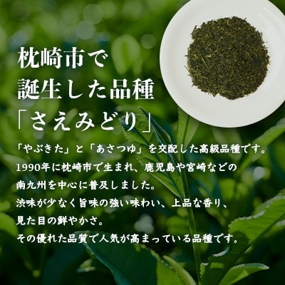 1番茶(新芽)のみを使用 有機煎茶【さえみどり】KAORU園 (100g×3本)  B3-60