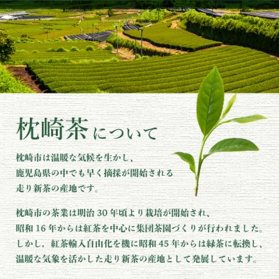 水出し緑茶ティーバッグ ホットでもアイスでも美味しい 90g(5g×18P)×5袋 A3-219