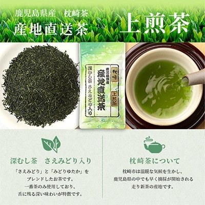 大河内製茶の煎茶飲み比べ【 3種 】セット ( 特上煎茶・上煎茶・煎茶 )  A3-220