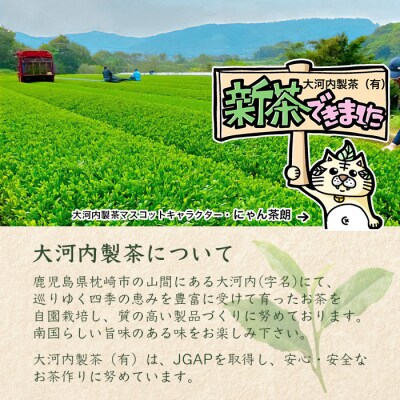 【新茶】深蒸し茶 80g×3本 鹿児島県 枕崎産 産地直送 A3-215