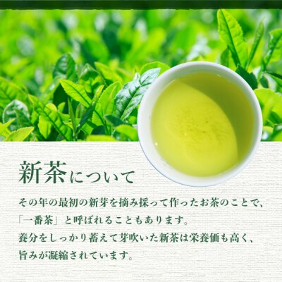 【新茶】2024新茶　特上煎茶 80g×3本 A8-73
