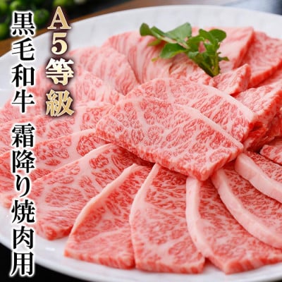 A5等級黒毛和牛霜降り焼肉用 A8-40