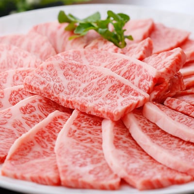 A5等級黒毛和牛霜降り焼肉用 A8-40