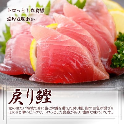1本釣りかつお(戻り鰹たたき・戻り鰹刺身) 1Kg 2種類のタレ付 A3-116