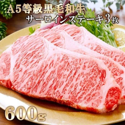 鹿児島県産A5等級黒毛和牛サーロインステーキ3枚(600g) C0-17