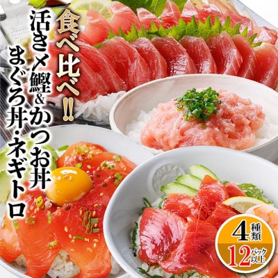 枕崎ぶえん鰹800g & 漬け丼3種9袋(かつお・まぐろ・ネギトロ) A6-140