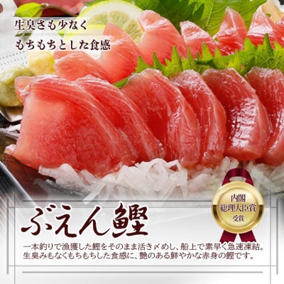 枕崎ぶえん鰹　(活き〆かつお)血合い抜き刺身 1kg A3-143