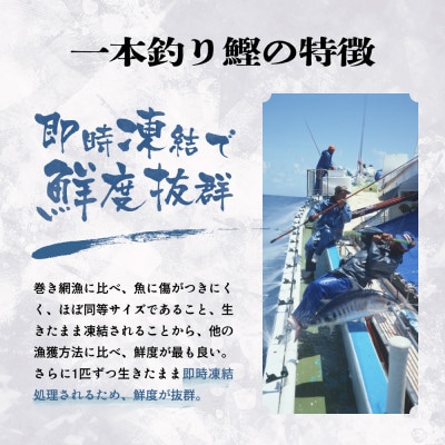 枕崎ぶえん鰹　(活き〆かつお)血合い抜き刺身 1kg A3-143