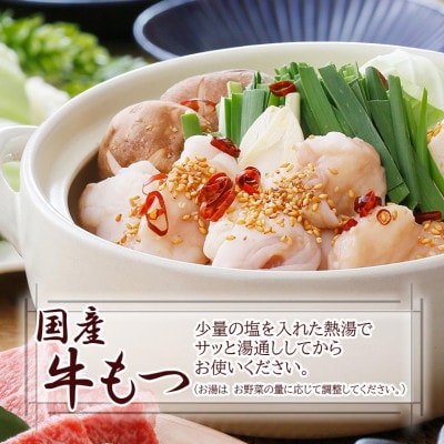 鹿児島県産黒毛和牛&国産牛もつ鍋セット A3-136