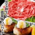 鹿児島県産黒毛和牛&鹿籠豚手作りハンバーグ A8-44