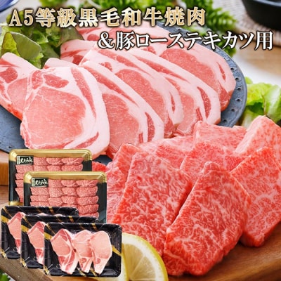 鹿児島県産A5等級黒毛和牛焼肉&豚ローステキカツ用 C0-19