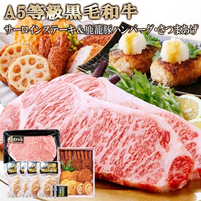 A5等級黒毛和牛サーロインステーキ&鹿籠豚ハンバーグ・さつまあげ C0-20