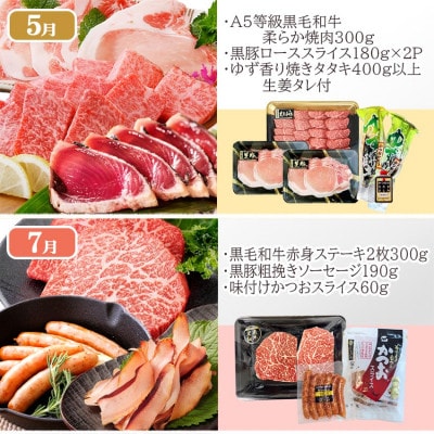 定期便(1年で6回)枕崎お楽しみ便(黒毛和牛・黒豚・かつおetc) GG-6002