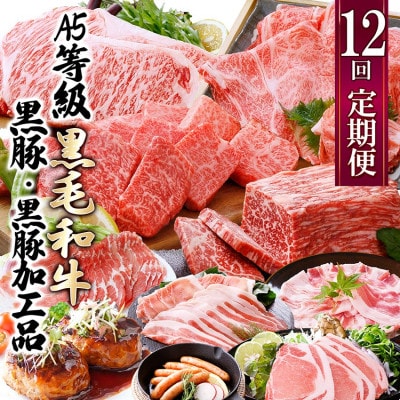お肉の定期便(12回)枕崎お楽しみ便(A5等級黒毛和牛・黒豚・黒豚加工品etc) KK-6003