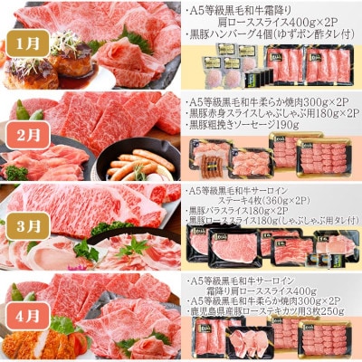お肉の定期便(12回)枕崎お楽しみ便(A5等級黒毛和牛・黒豚・黒豚加工品etc) KK-6003