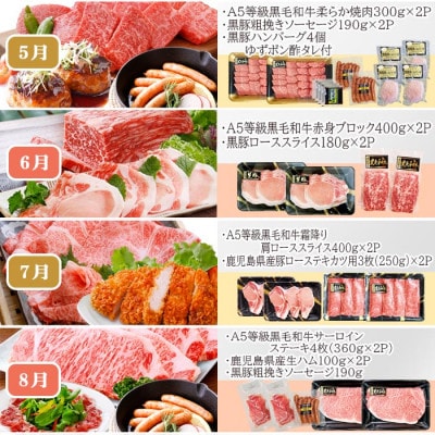 お肉の定期便(12回)枕崎お楽しみ便(A5等級黒毛和牛・黒豚・黒豚加工品etc) KK-6003