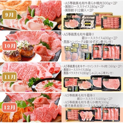 お肉の定期便(12回)枕崎お楽しみ便(A5等級黒毛和牛・黒豚・黒豚加工品etc) KK-6003