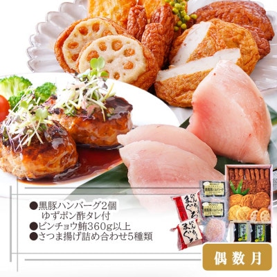 定期便(2回配送)枕崎お楽しみ便(黒毛和牛・まぐろ・手作りハンバーグ・さつまあげ等) DD-6002