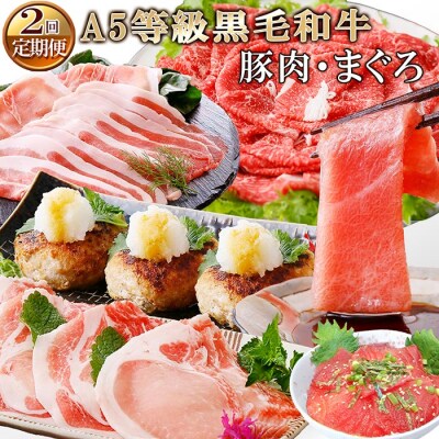 定期便(2回配送)鹿児島県産黒毛和牛・豚肉・まぐろ　10月20日受付終了 DD-6003