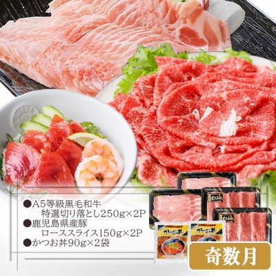 定期便(2回配送)鹿児島県産黒毛和牛・豚肉・一本釣りかつお DD-6004