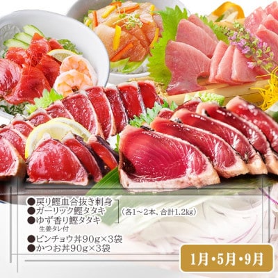 定期便(2回配送)一本釣りかつお・まぐろ三昧　(さつまあげも) DD-6005