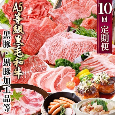 定期便(1年で10回配送)お楽しみ便(A5等級黒毛和牛・鹿籠豚(黒豚)・かご豚加工品等HH-6004