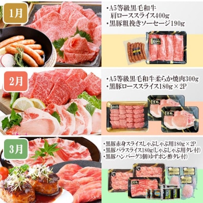 定期便(1年で10回配送)お楽しみ便(A5等級黒毛和牛・鹿籠豚(黒豚)・かご豚加工品等HH-6004