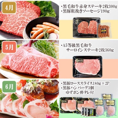 定期便(1年で10回配送)お楽しみ便(A5等級黒毛和牛・鹿籠豚(黒豚)・かご豚加工品等HH-6004