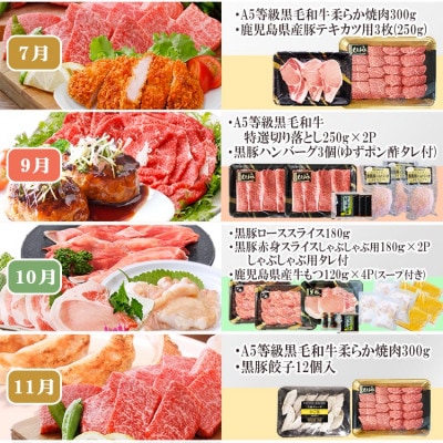 定期便(1年で10回配送)お楽しみ便(A5等級黒毛和牛・鹿籠豚(黒豚)・かご豚加工品等HH-6004