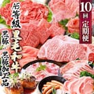 定期便(1年で10回配送)枕崎お楽しみ便(A5等級黒毛和牛・黒豚・黒豚加工品etc) II-6002