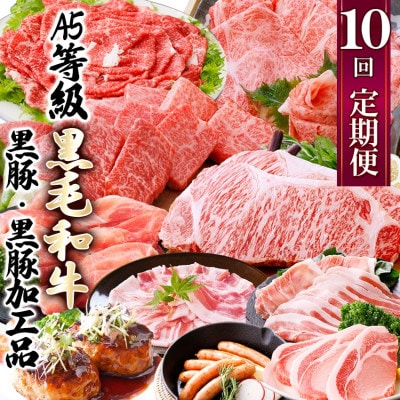 定期便(1年で10回配送)枕崎お楽しみ便(A5等級黒毛和牛・黒豚・黒豚加工品etc) II-6002