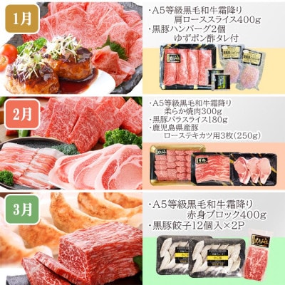 定期便(1年で10回配送)枕崎お楽しみ便(A5等級黒毛和牛・黒豚・黒豚加工品etc) II-6002