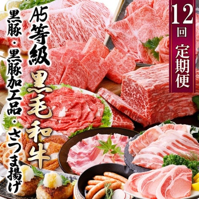 定期便(12回配送)枕崎お楽しみ便(A5等級黒毛和牛・黒豚・黒豚加工品・さつまあげ等)JJ-6003
