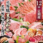 定期便(12回配送)お楽しみ便(A5等級黒毛和牛・黒豚・かつお・まぐろ・さつまあげ等)JJ-6002