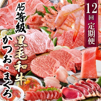 定期便(12回配送)A5等級黒毛和牛&かつお・まぐろ KK-6004