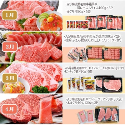 定期便(12回配送)A5等級黒毛和牛&かつお・まぐろ KK-6004