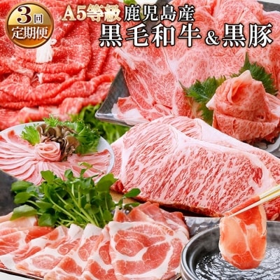 定期便(3回配送) 鹿児島産A5等級黒毛和牛&黒豚 EE-0028