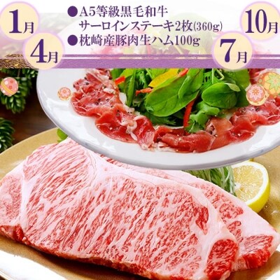 定期便(3回配送) 鹿児島産A5等級黒毛和牛&黒豚 EE-0028