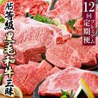 定期便(12回)鹿児島県産A5等級黒毛和牛三昧 JJ-0017