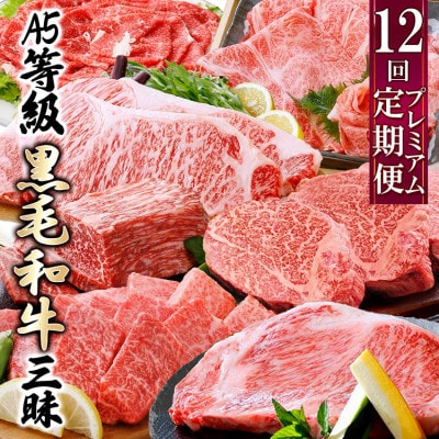 定期便(12回)鹿児島県産A5等級黒毛和牛三昧 JJ-0017